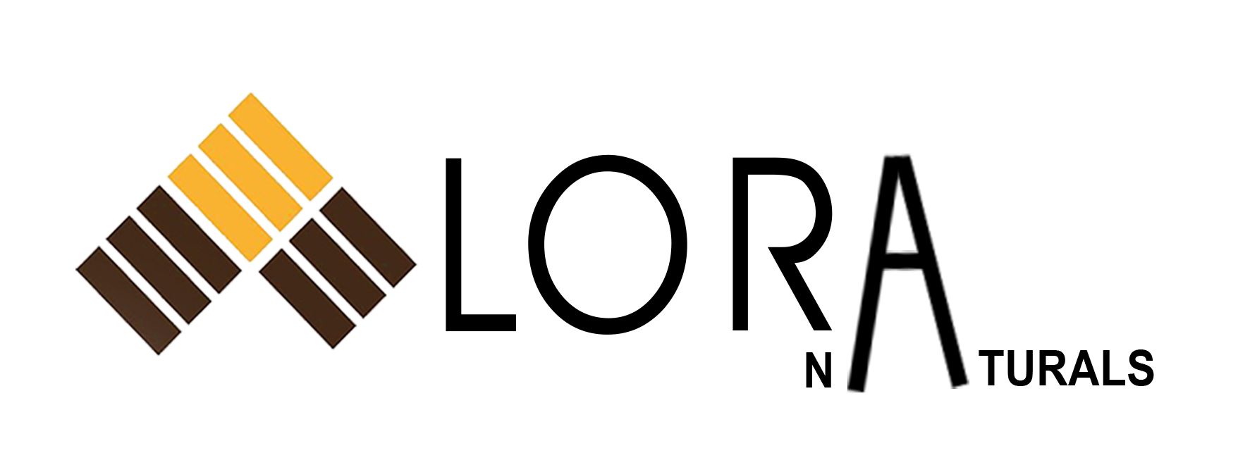lora logo new 12345 e1736072630201